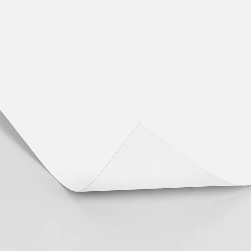 SBS C1S — Coated One Side White SBS C1S sheet with one corner turned up to show its reverse.