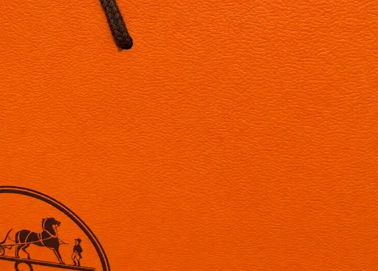 Close-up of the fine pebbled texture on orange paper beside a dark cord handle and part of the Hermès emblem
